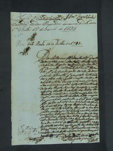Open original Digital object