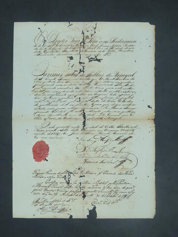 Open original Document numérique