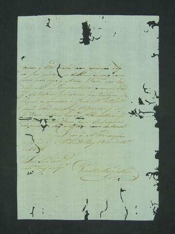 Open original Document numérique