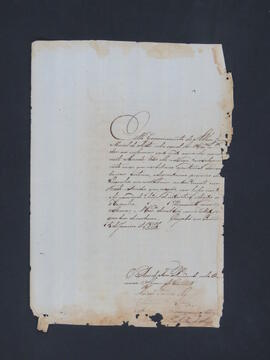 BR MTAPMT CVC-CA-0244  1