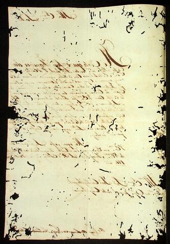 Open original Document numérique