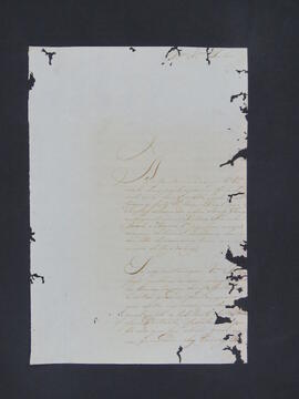 BR MTAPMT CVC-CA-0264  1