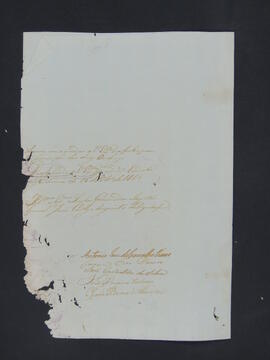BR MTAPMT CVC-CA-0265  4
