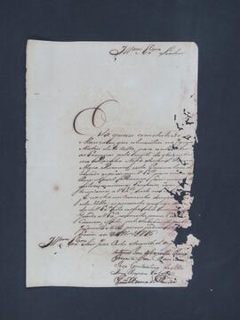 BR MTAPMT CVC-CA-0266 1