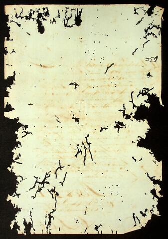 Open original Document numérique