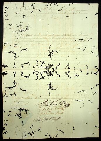 Open original Document numérique