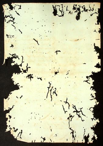 Open original Document numérique