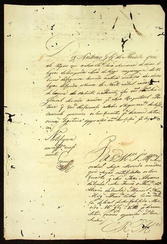 Open original Document numérique