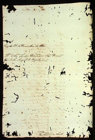 Open original Document numérique