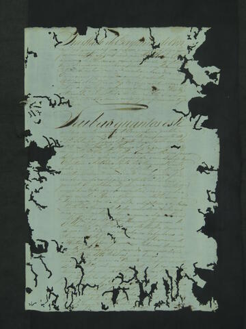 Open original Document numérique