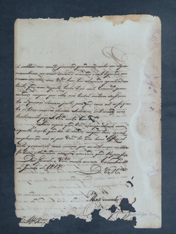 Open original Document numérique