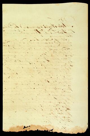 Open original Document numérique