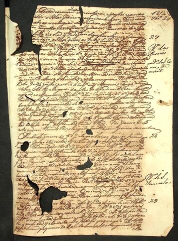 Open original Document numérique