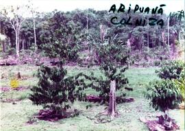 BR MT APMT.JRC.CD.AC.0036 1