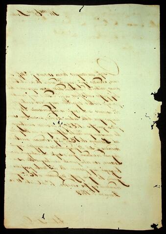 Open original Document numérique