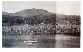 BR MTAPMT COL-200-210-211-00027 1