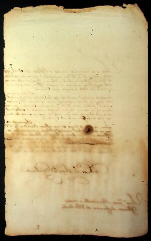 Open original Document numérique