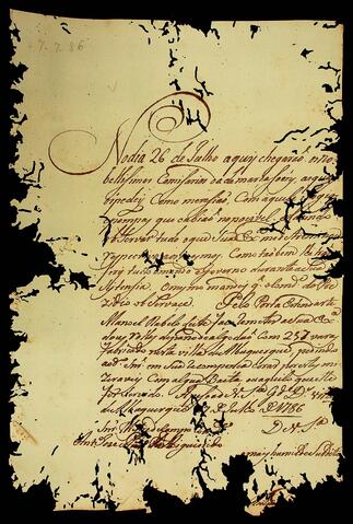 Open original Objeto digital