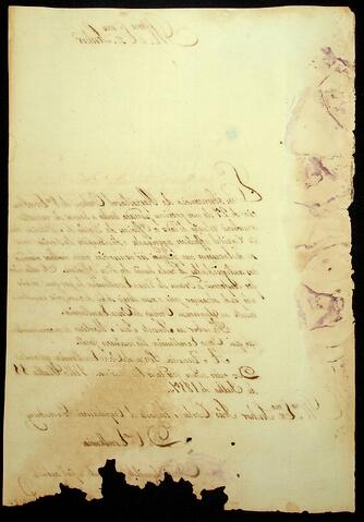 Open original Document numérique