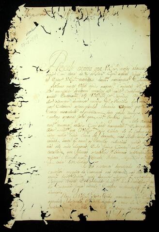 Open original Document numérique