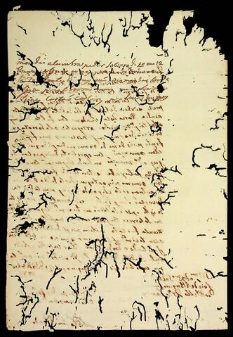 Open original Document numérique