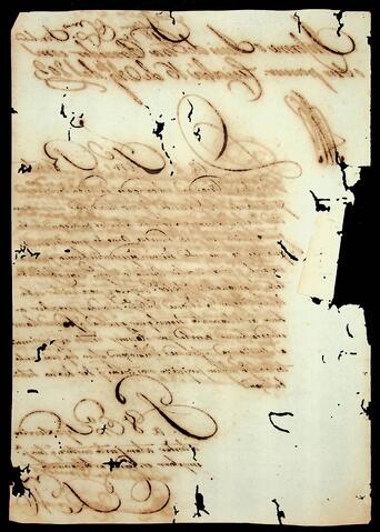 Open original Document numérique