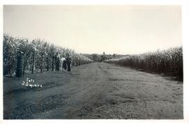 BR MTAPMT COL-200-210-211-00040 1