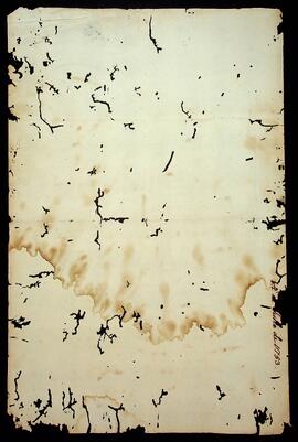 BR MTAPMT SG-CA-0081 4