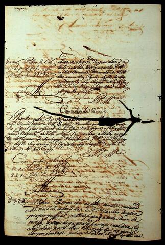 Open original Document numérique