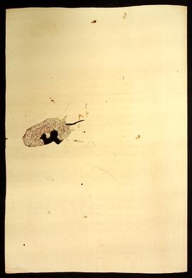 BR MTAPMT QM-TM-CA-5399 4