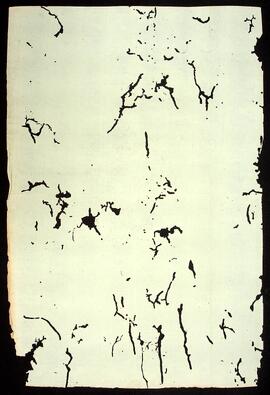 BR MTAPMT QM-DR-CA-0119 4