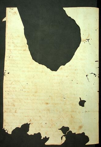 Open original Document numérique