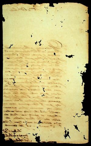 Open original Document numérique