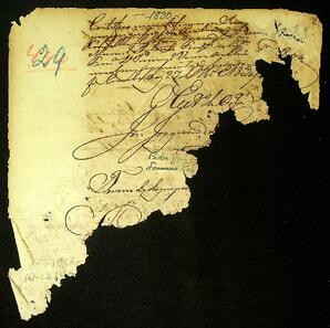 Open original Document numérique
