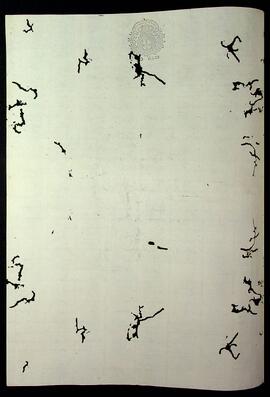 BR MTAPMT SG-GA-2384 2