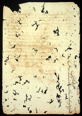 Open original Document numérique