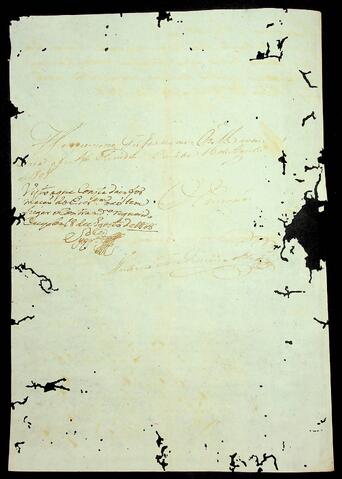 Open original Document numérique