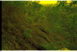 BR MT APMT.JRC.IT.FC.0199 7