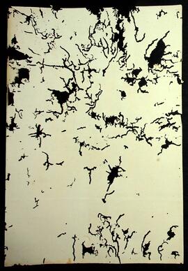 BR MTAPMT SG-CA-0778 3