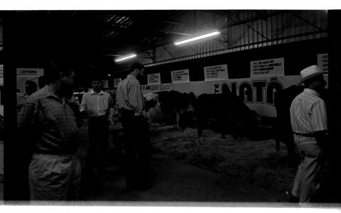 Open original Digital object