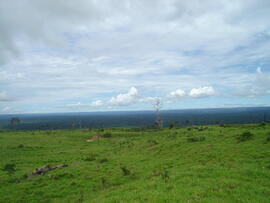 BR MT APMT.JRC.SM.PRF.0214 15