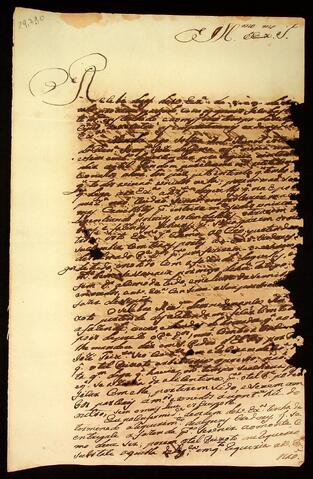 Open original Document numérique