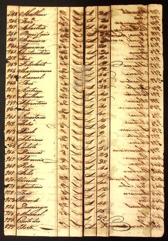 Open original Document numérique