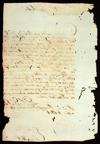 Open original Document numérique