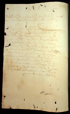 Open original Document numérique