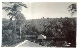 BR MTAPMT COL-200-210-211-00050 1