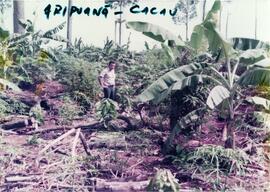 BR MT APMT.JRC.CD.ID.0041 4