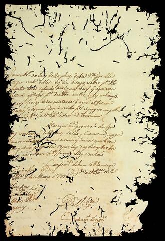 Open original Document numérique