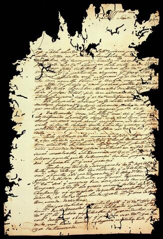 Open original Document numérique