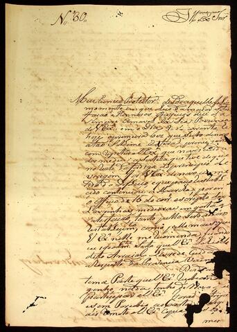 Open original Document numérique